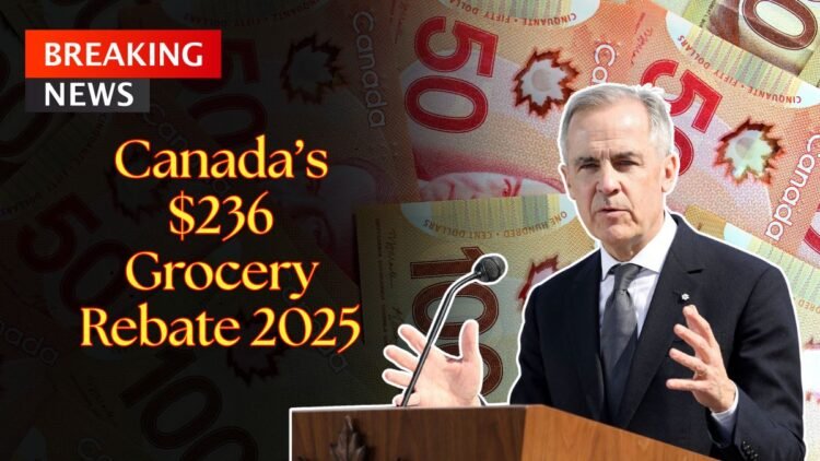 Canada’s $236 Grocery Rebate Coming In November 2025 – Check Who Qualifies & When You’ll Get Paid